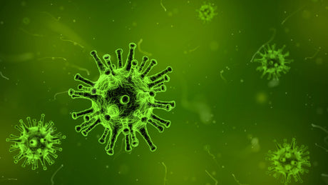 How to Best Protect Yourself Naturally During the Novel Coronavirus Threat | Homeopathy Store