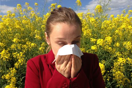 Homeopathic remedies for allergies