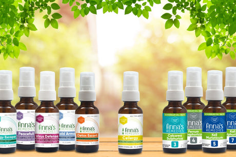 A Simple Guide to Taking Homeopathic Remedies