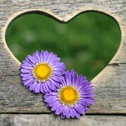 Reproductive Health Products