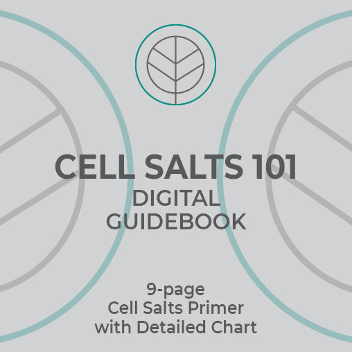 Cell Salts 101 Digital Guide