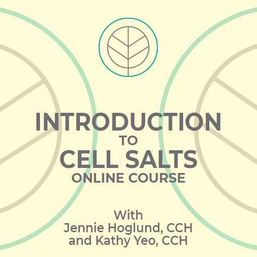 Introduction to Schuessler Cell Salts Online Course - HomeopathyStore.com