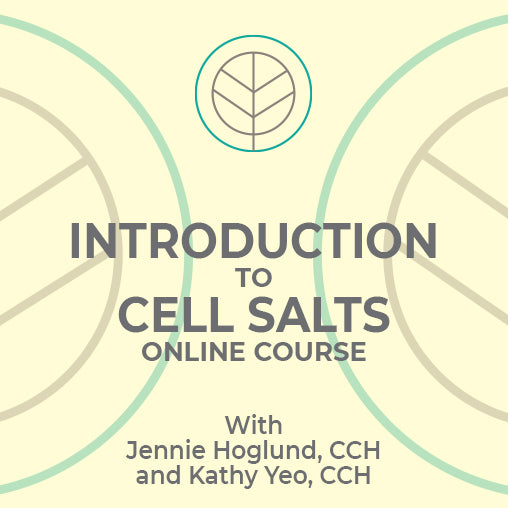 Introduction to Schuessler Cell Salts Online Course