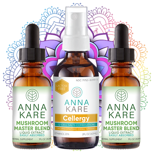 Fatigue Fighter Bundle - HomeopathyStore.com