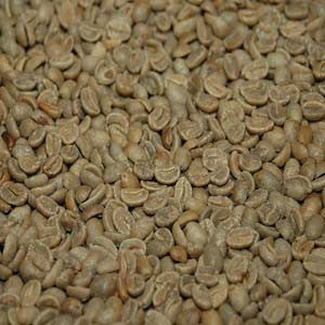 Cof Cru - HOM 121 - HomeopathyStore.com