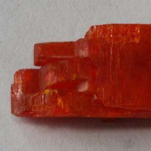 Kal Bic - HOM 192 - HomeopathyStore.com