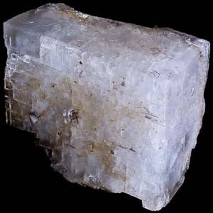 Mag Car - HOM 216A - HomeopathyStore.com