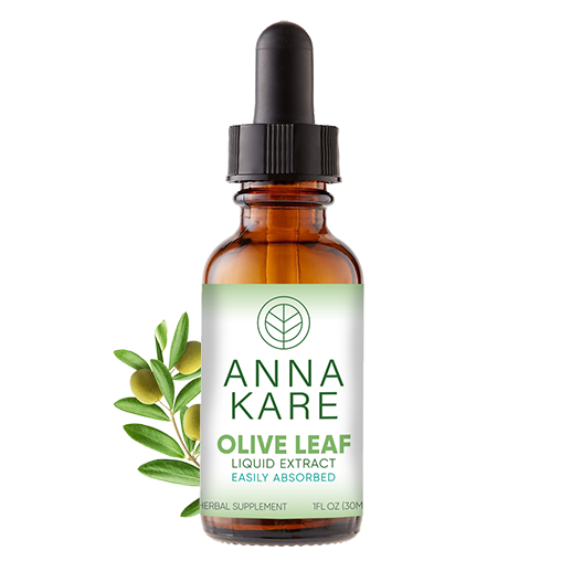 Olive Leaf Liquid Extract - HomeopathyStore.com