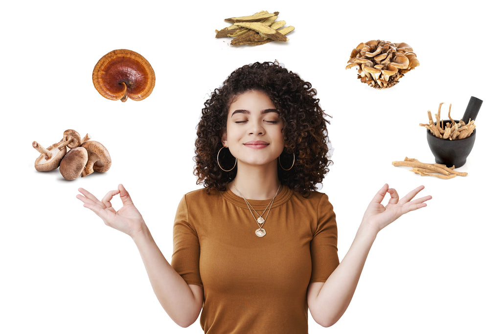 Mushroom Supplements for Stress Relief, Energy, and A Longer Life
