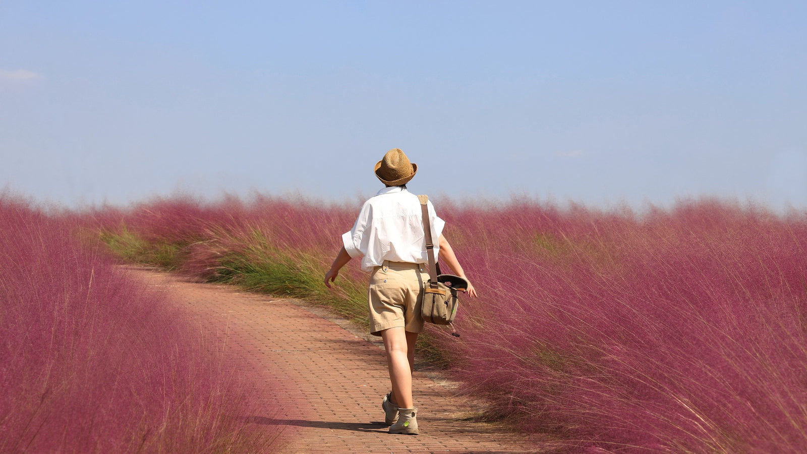 Six Essential Homeopathic Travel Remedies