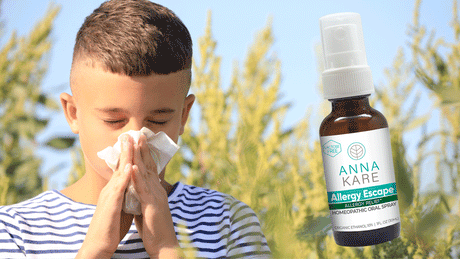Boy sneezing near ragweed plants — natural remedies for ragweed allergies