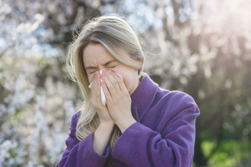 Top Homeopathic Remedies for Seasonal Allergies