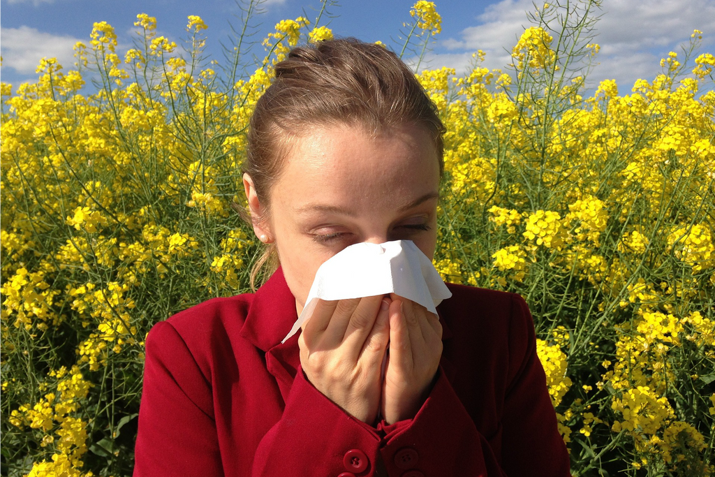 Homeopathic remedies for allergies