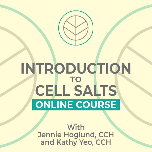 Introduction to Schuessler Cell Salts