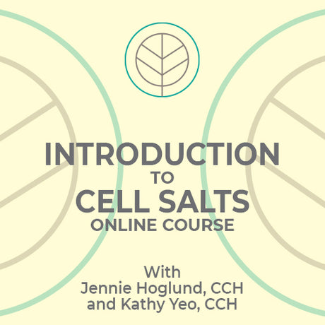 Introduction to Schuessler Cell Salts Online Course - HomeopathyStore.com