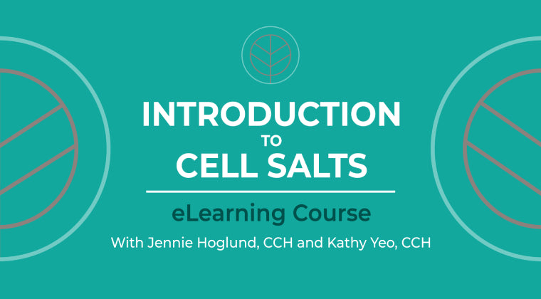 Introduction to Schuessler Cell Salts