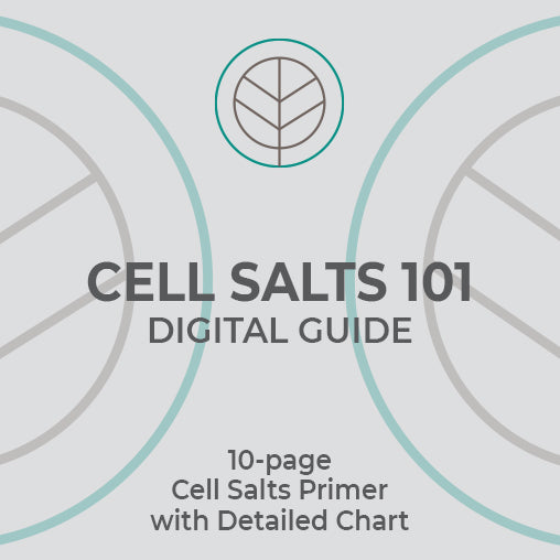 Cell Salts 101 Guide