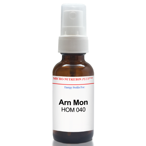 Arn Mon - HOM 040